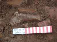 in-situ midden bones beneath tile layer