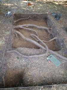 trench 1