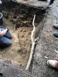 trench 4 extension
