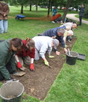 digging begins