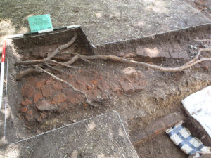 trench 2 floor and walls