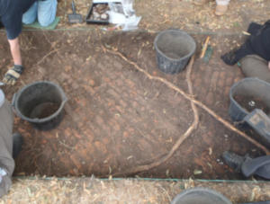 trench 1