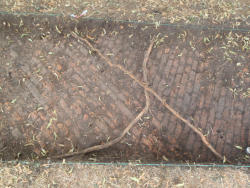 trench 2