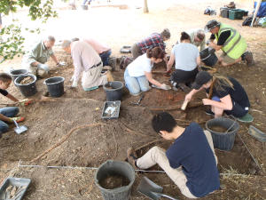 trench 2 extension