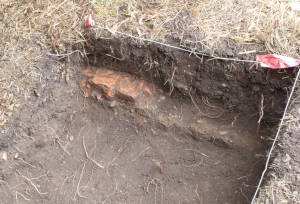 barn bricks