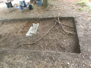 trench 2