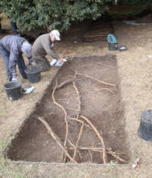 east end of trench 2