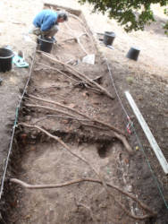 east end of trench 2