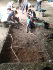 trench 1