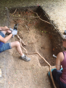 trench 1