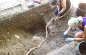 trench 1