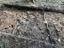 trench 7