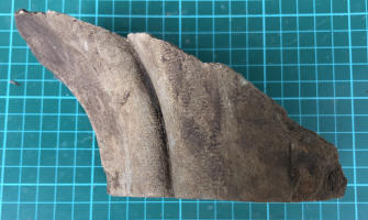 carved stone