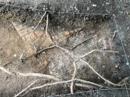 trench 5 wall