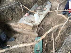 trench 5