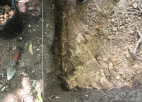 wall 2