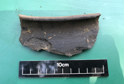 south herts greyware