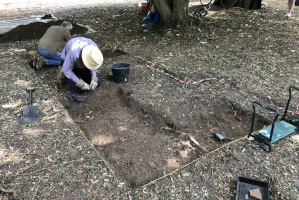 trench 2