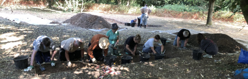 trench 2