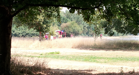 grass fire and fire engine