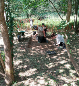 trench 4