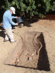 backfilling trench 4